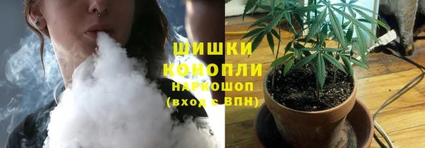 стафф Лабытнанги