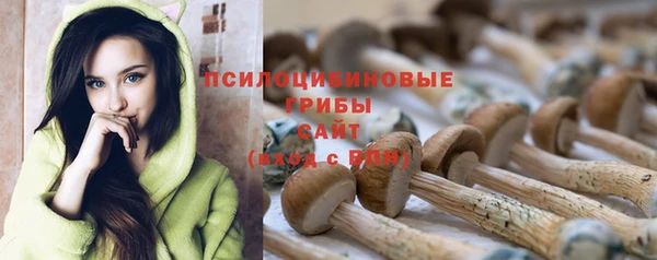 героин Ладушкин