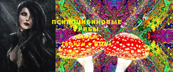 стафф Лабытнанги