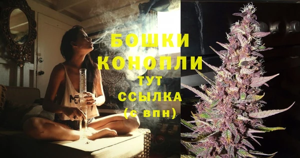 стафф Лабытнанги