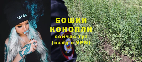 стафф Лабытнанги